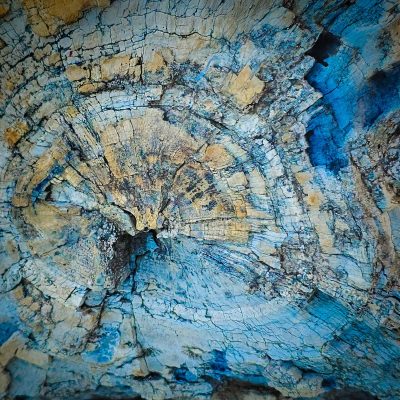 Petrified Log, Drumheller, AB, 2026-06-24